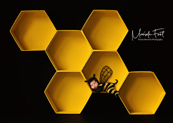Picture Moments Photography | Marisela Fant | Digital Compositions