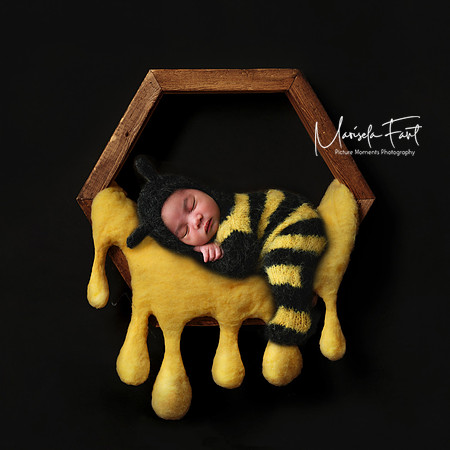 Picture Moments Photography | Marisela Fant | Digital Compositions