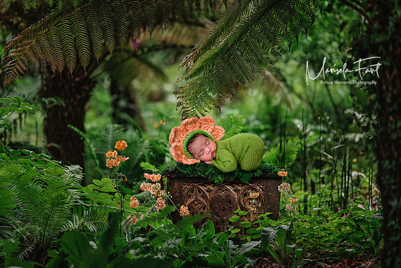 Picture Moments Photography | Marisela Fant | Digital Compositions
