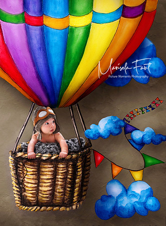 Picture Moments Photography | Marisela Fant | Digital Compositions