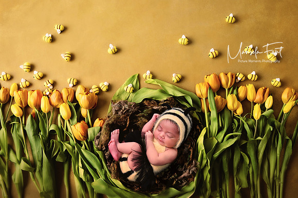 Picture Moments Photography | Marisela Fant | Digital Compositions