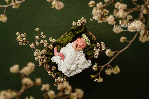Picture Moments Photography | Marisela Fant | Digital Compositions