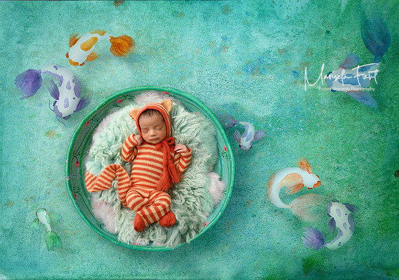 Picture Moments Photography | Marisela Fant | Digital Compositions