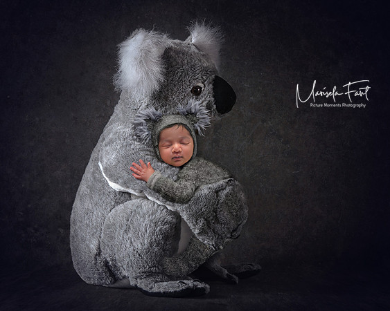 Picture Moments Photography | Marisela Fant | Digital Compositions