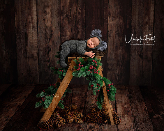 Picture Moments Photography | Marisela Fant | Digital Compositions