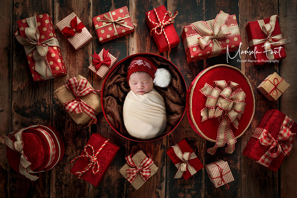 Picture Moments Photography | Marisela Fant | Digital Compositions