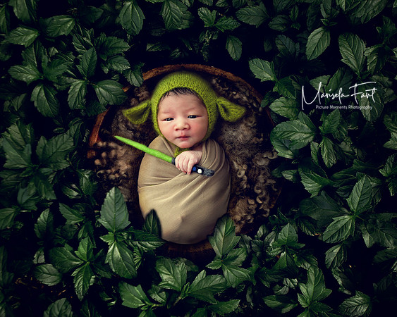 Picture Moments Photography | Marisela Fant | Digital Compositions