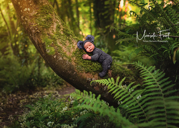 Picture Moments Photography | Marisela Fant | Digital Compositions