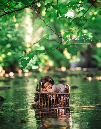 Picture Moments Photography | Marisela Fant | Digital Compositions