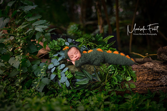 Picture Moments Photography | Marisela Fant | Digital Compositions