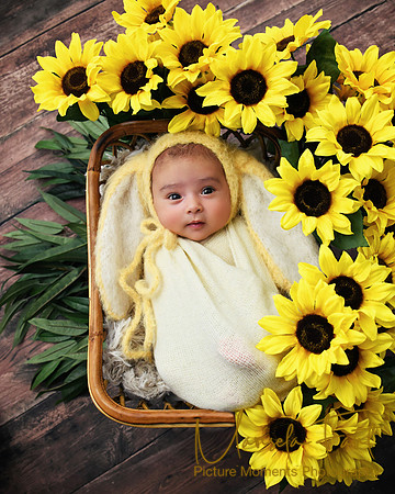 Picture Moments Photography | Marisela Fant | Newborn Gallery