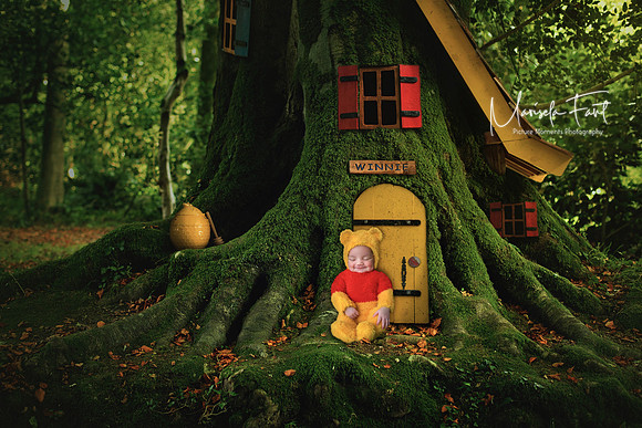 Picture Moments Photography | Marisela Fant | Digital Compositions