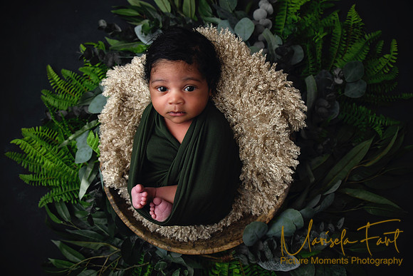 Picture Moments Photography | Marisela Fant | Newborn Gallery
