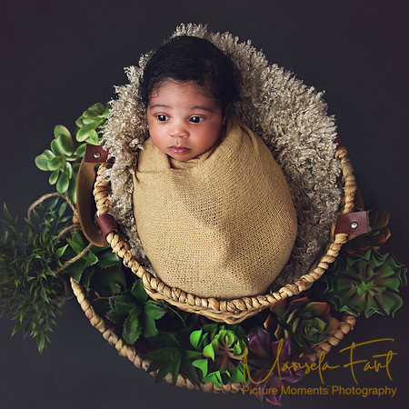 Picture Moments Photography | Marisela Fant | Newborn Gallery