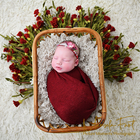 Picture Moments Photography | Marisela Fant | Newborn Gallery