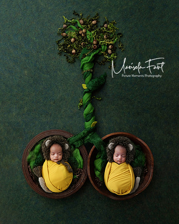 Picture Moments Photography | Marisela Fant | Digital Compositions