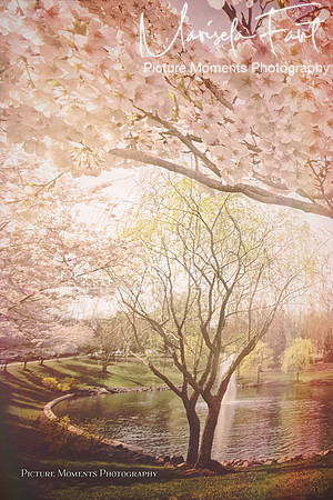 Picture Moments Photography | Marisela Fant | Wall Art and Prints
