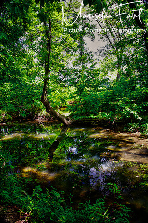 Picture Moments Photography | Marisela Fant | Wall Art and Prints