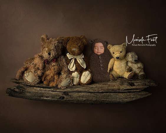 Newborn Bear Shelf