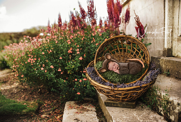 Mouse in garden sleeping under the tuscan sun.. Newborn Composition