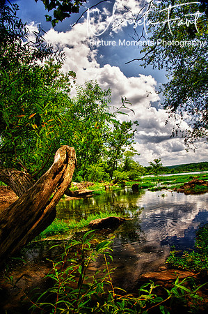 Picture Moments Photography | Marisela Fant | Wall Art and Prints