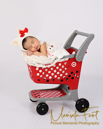 Picture Moments Photography | Marisela Fant | Target Newborn