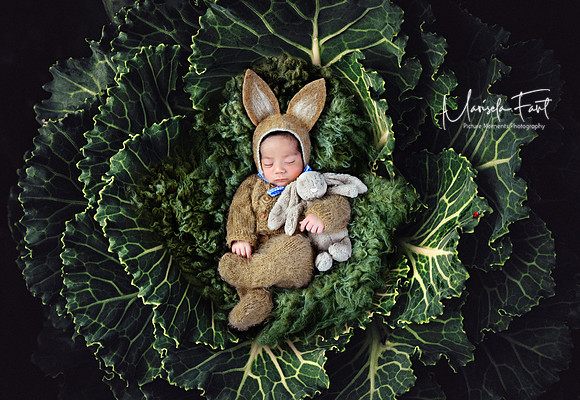 Picture Moments Photography | Marisela Fant | Digital Compositions