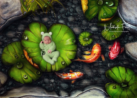 Koi Pond