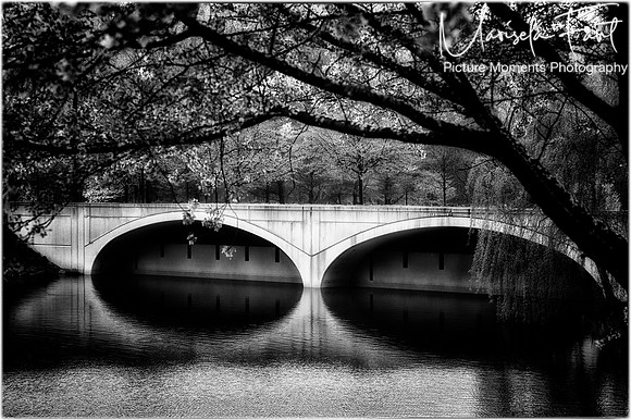Picture Moments Photography | Marisela Fant | Wall Art and Prints