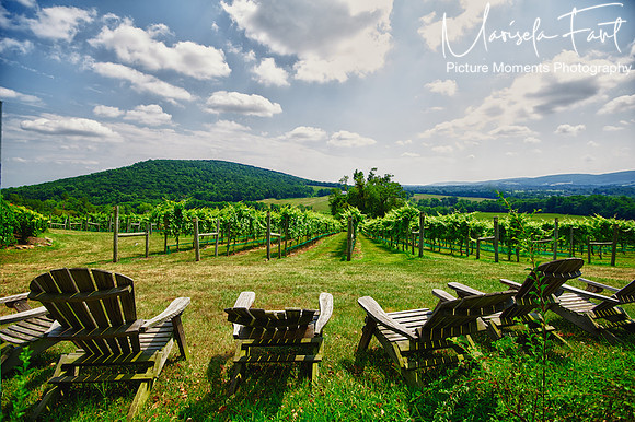 Picture Moments Photography | Marisela Fant | Wall Art and Prints