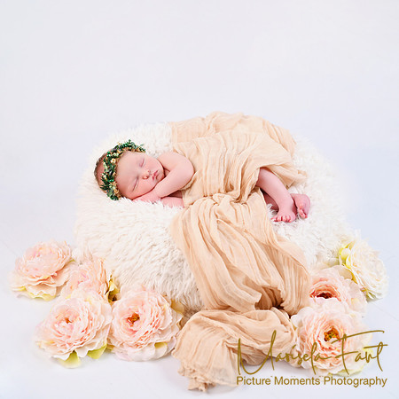 Picture Moments Photography | Marisela Fant | Newborn Gallery