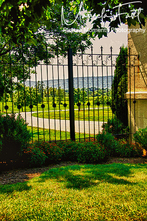 Picture Moments Photography | Marisela Fant | Wall Art and Prints