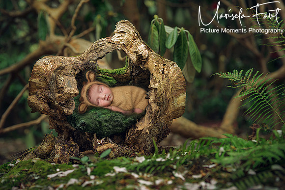 Picture Moments Photography | Marisela Fant | Digital Compositions