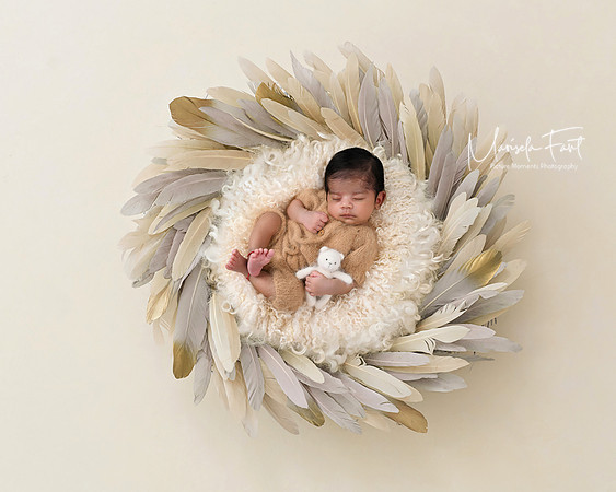 Golden Feathers. Newborn Photography