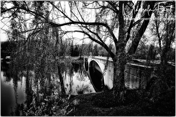 Picture Moments Photography | Marisela Fant | Wall Art and Prints