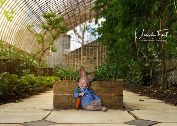 Picture Moments Photography | Marisela Fant | Digital Compositions Peter Rabbit