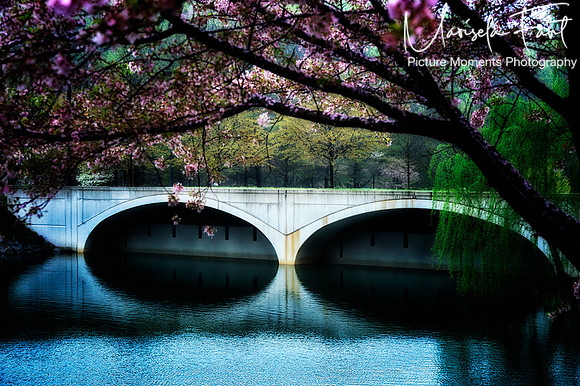 Picture Moments Photography | Marisela Fant | Wall Art and Prints