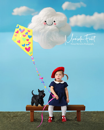 Let's Fly a Kite
