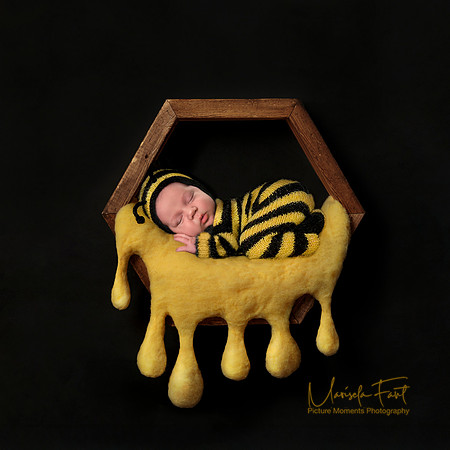 Honey Bee